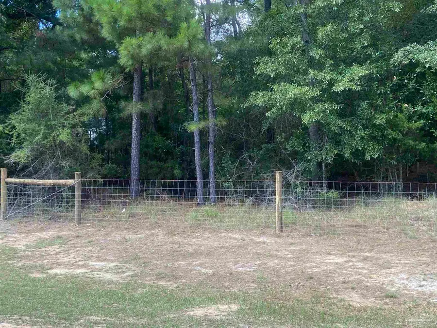 0 County Road 14, Range, AL 36473 - #3
