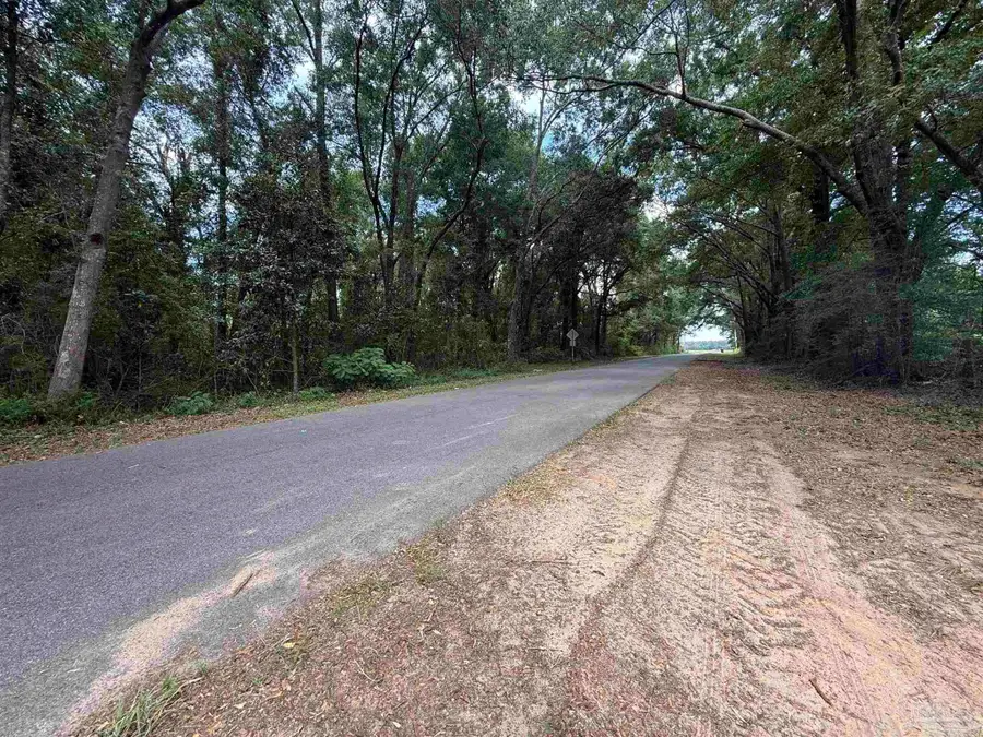 LOT 3 Watermill Rd, Jay, FL 32565 - #3
