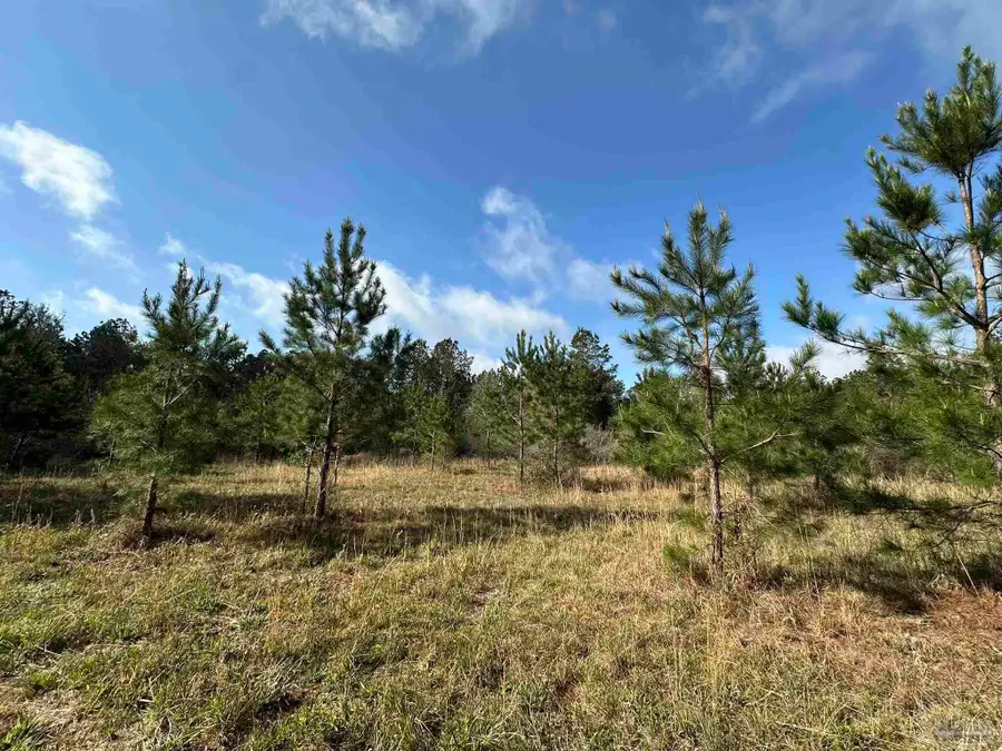 33.66 AC Snider Rd #33.66 AC, Frisco City, AL 36445 - #3