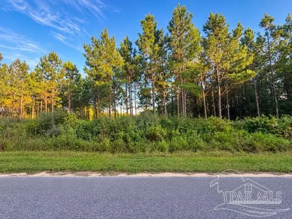 7282 Buffalo Ridge Rd, Pace, FL 32571
