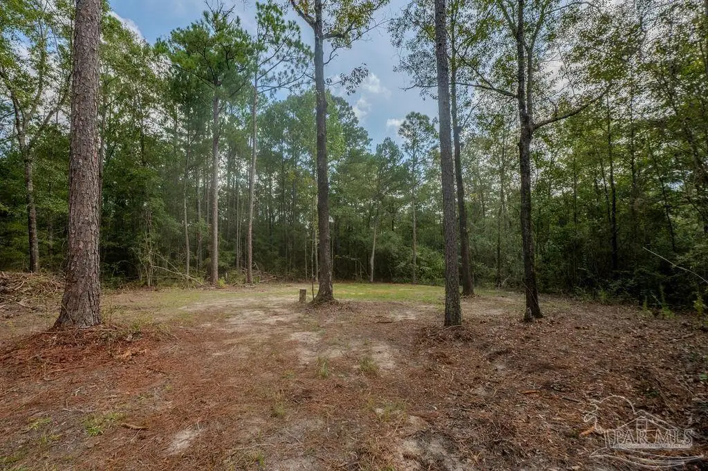 2910 Walling Rd, Milton, FL 32570 - #1