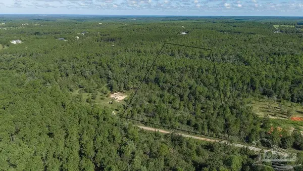 15 ACRES Native Creek Rd, Pace, FL 32571