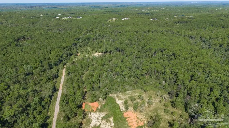 15 ACRES Native Creek Rd, Pace, FL 32571 - #3