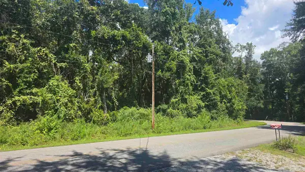0000 E Bayou Forest Dr, Freeport, FL 32439