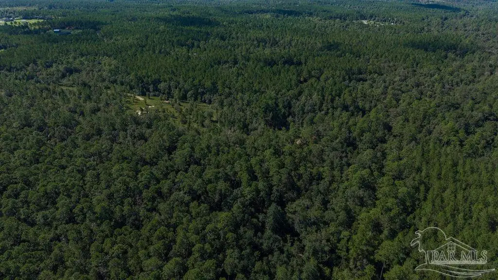 18.69 ACRES Native Creek Rd, Pace, FL 32571 - #1