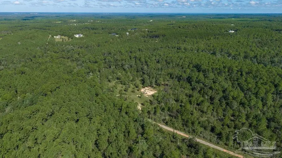 18.69 ACRES Native Creek Rd, Pace, FL 32571 - #2