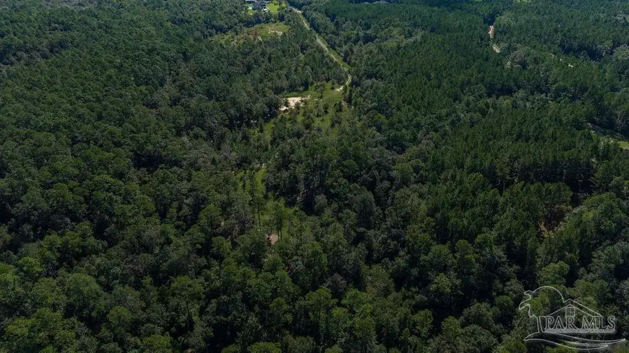 18.69 ACRES Native Creek Rd, Pace, FL 32571 - #3