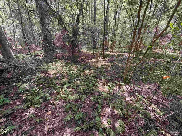 0 Highway 179a, Westville, FL 32464