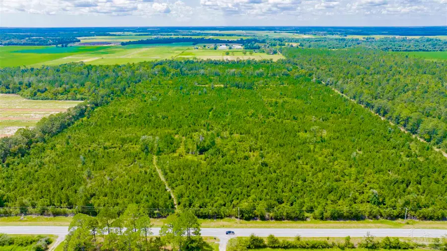 0 County Road 87, Elberta, AL 36530 - #3