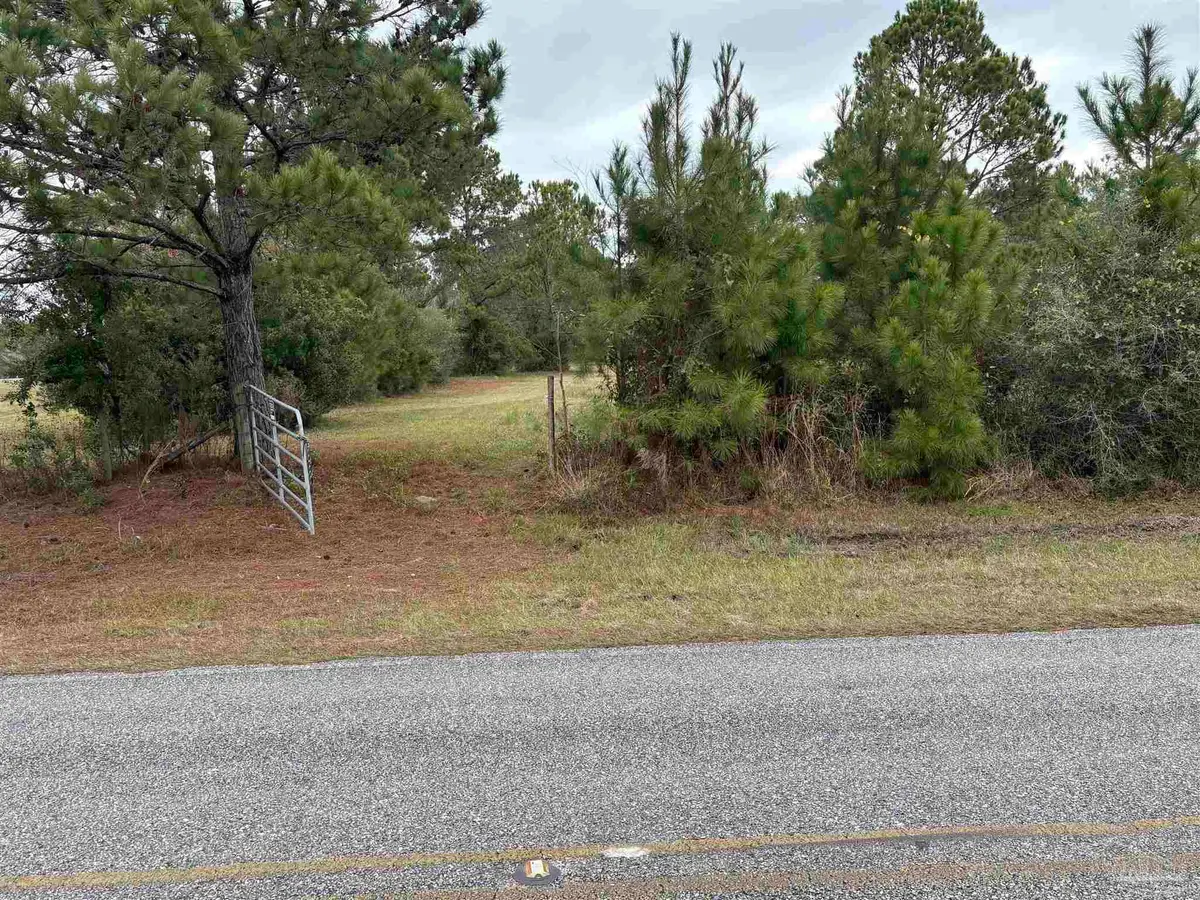 31849 Randolf Ave, Lillian, AL 36549 - #1