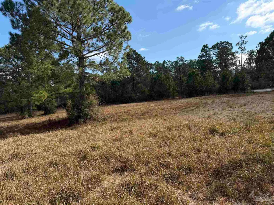 31849 Randolf Ave, Lillian, AL 36549 - #3