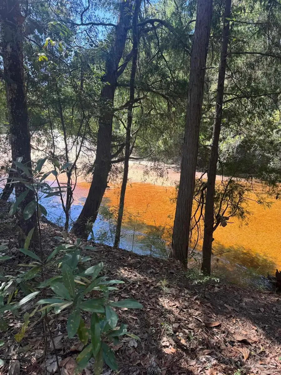 Lot 23 Creek Adventures Ln, Flomaton, AL 36441 - #3