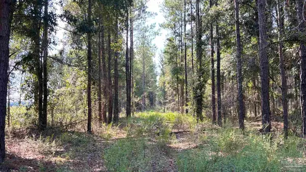 LOT 74 Posie Forest Rd, Milton, FL 32570