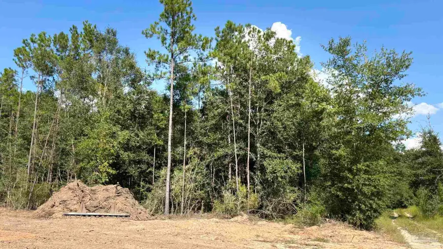 LOT 74 Posie Forest Rd, Milton, FL 32570 - #2