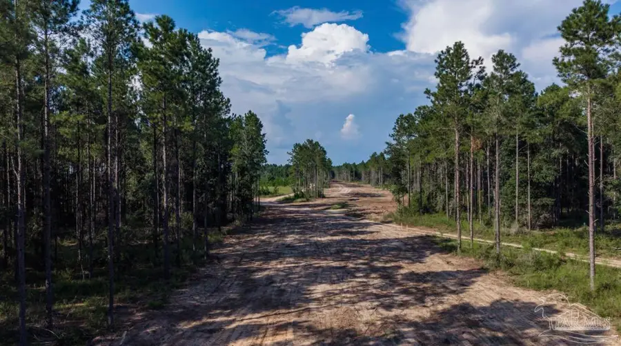 Lot 71 Posie Forest Rd, Milton, FL 32570 - #3