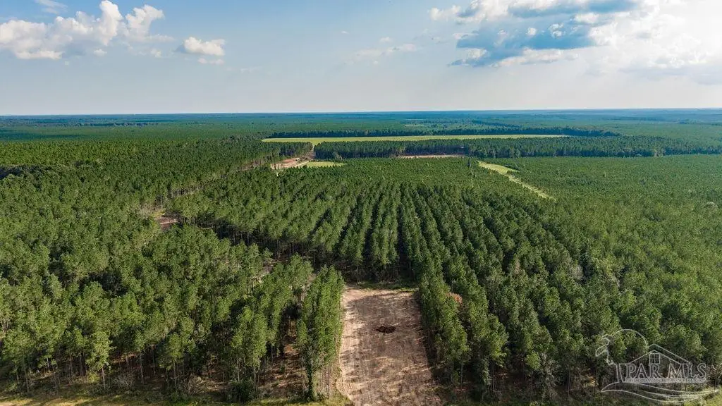 LOT 91 Posie Forest Rd, Milton, FL 32570 - #1