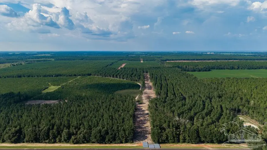 LOT 91 Posie Forest Rd, Milton, FL 32570 - #2