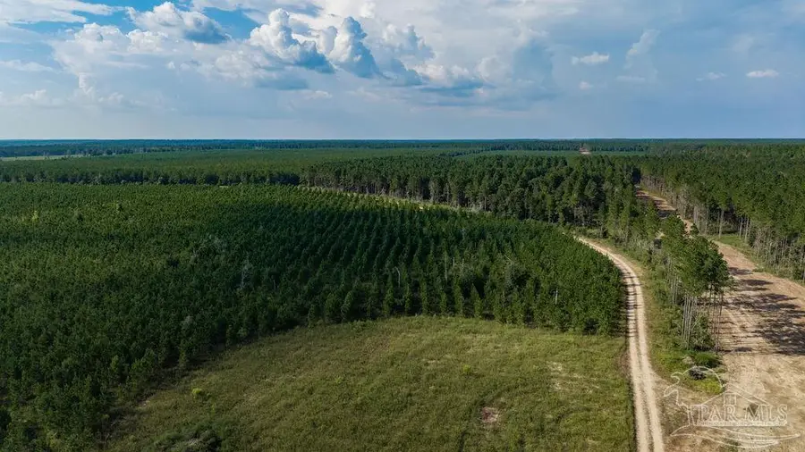 LOT 91 Posie Forest Rd, Milton, FL 32570 - #3