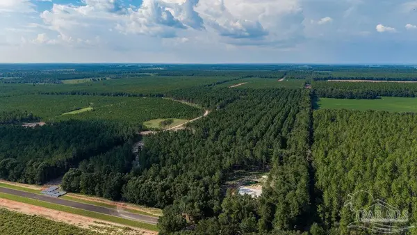 LOT 93 Posie Forest Rd, Milton, FL 32570