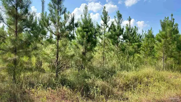 Lot 88 Posie Forest Rd, Milton, FL 32583
