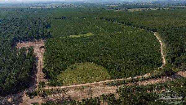 Lot 90 Posie Forest Rd, Milton, FL 32570