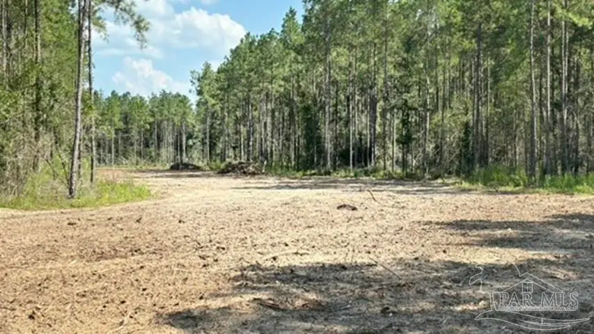 Lot 89 Posie Forest Rd, Milton, FL 32570 - #1