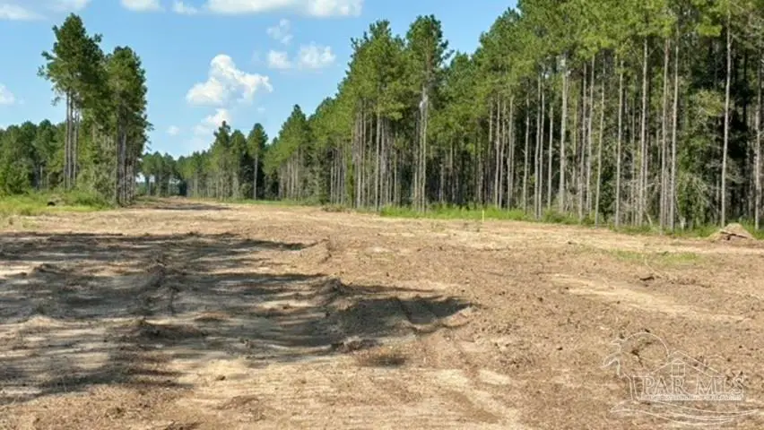 Lot 89 Posie Forest Rd, Milton, FL 32570 - #2