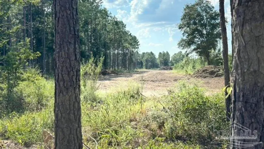 Lot 89 Posie Forest Rd, Milton, FL 32570 - #3