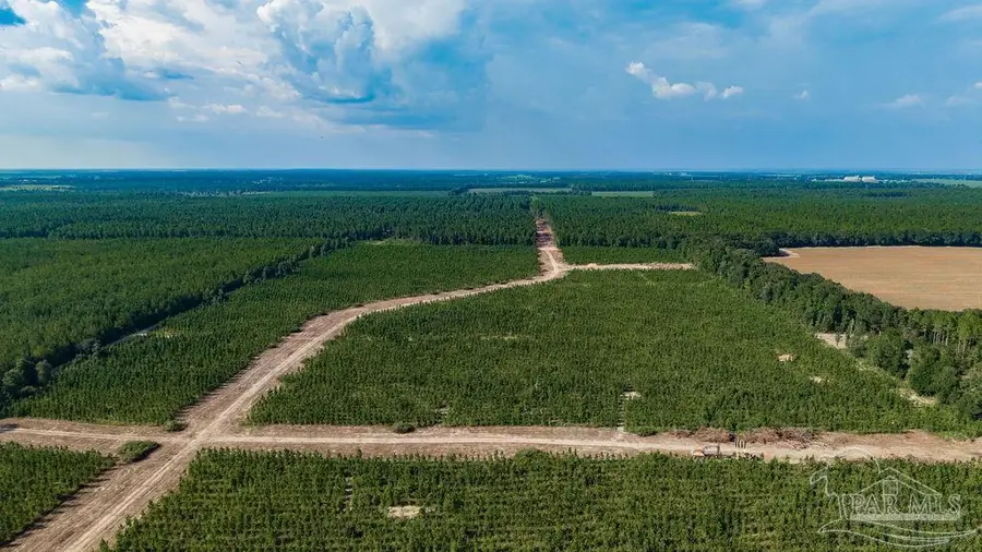 LOT 92 Posie Forest Rd, Milton, FL 32570 - #2