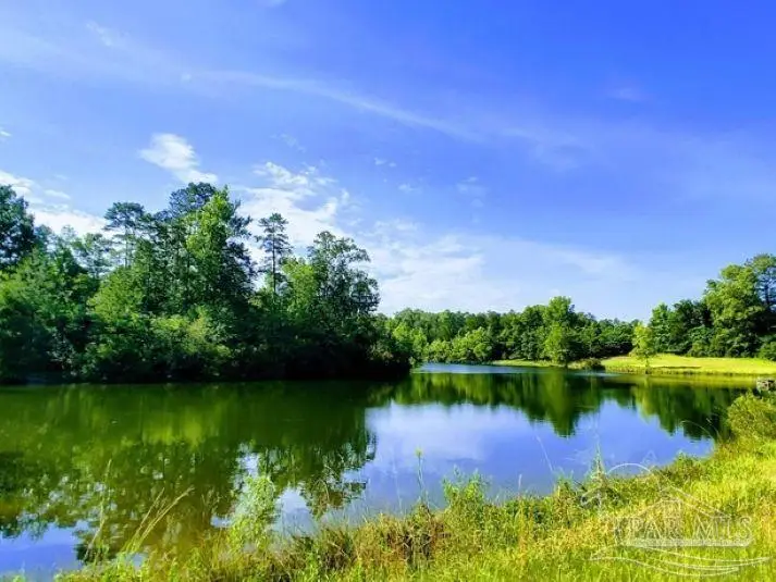 0 Hwy 17, Millry, AL 36558 - #2
