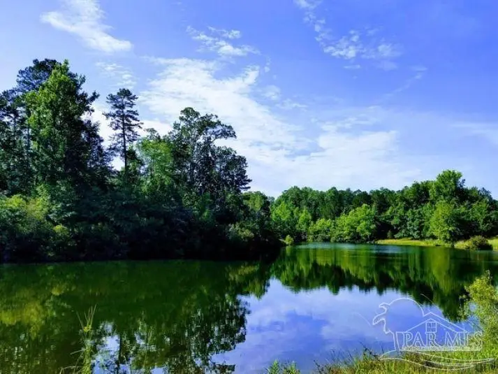 0 Hwy 17, Millry, AL 36558 - #3