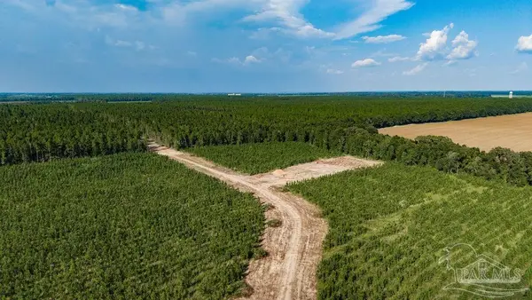 LOT 107 Posie Forest Rd, Milton, FL 32570