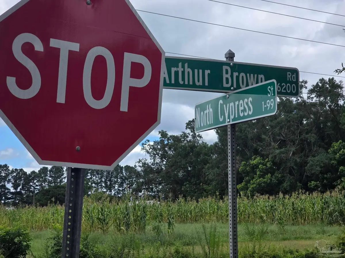 6200 Arthur Brown Rd, Walnut Hill, FL 32568 - #1