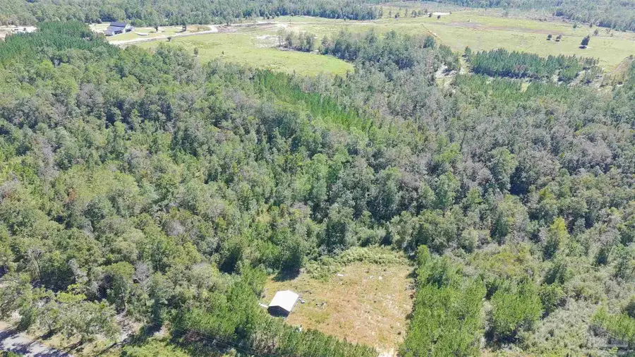 Lot 22 Mineral Springs Rd, Jay, FL 32565 - #3
