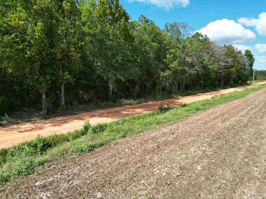 00 Dorriety Cir, Atmore, AL 36502 - #3