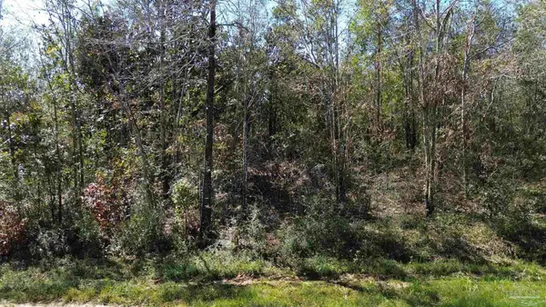 Lot 7a Pineview Church Rd, Jay, FL 32565