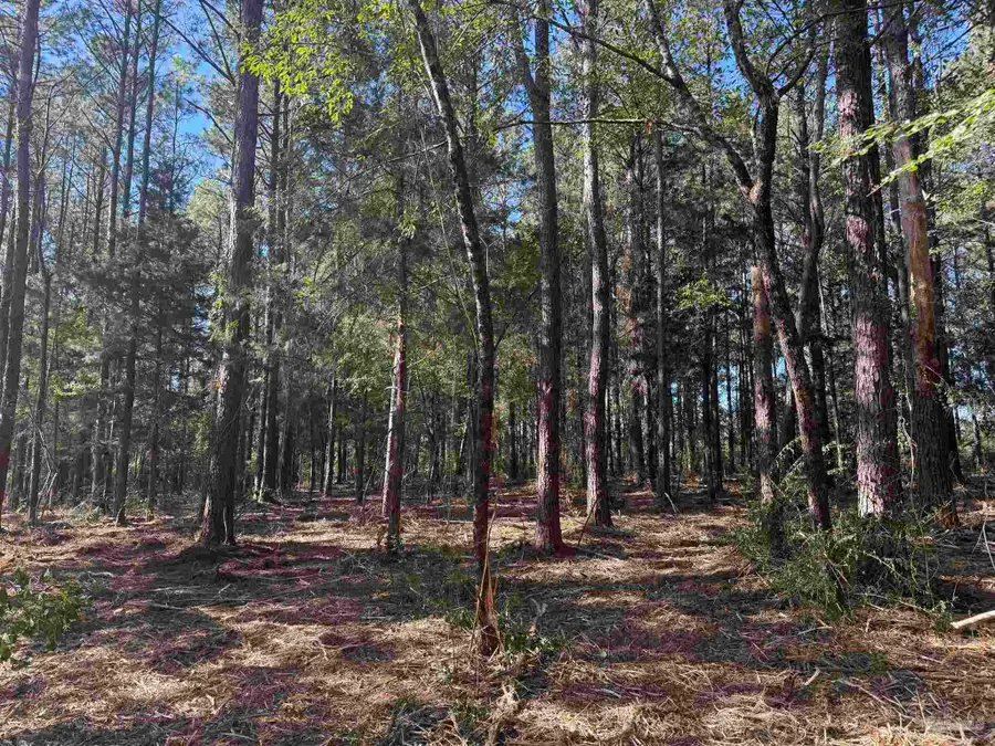 Lot 6 Rockaway Creek Rd, Atmore, AL 36502 - #2