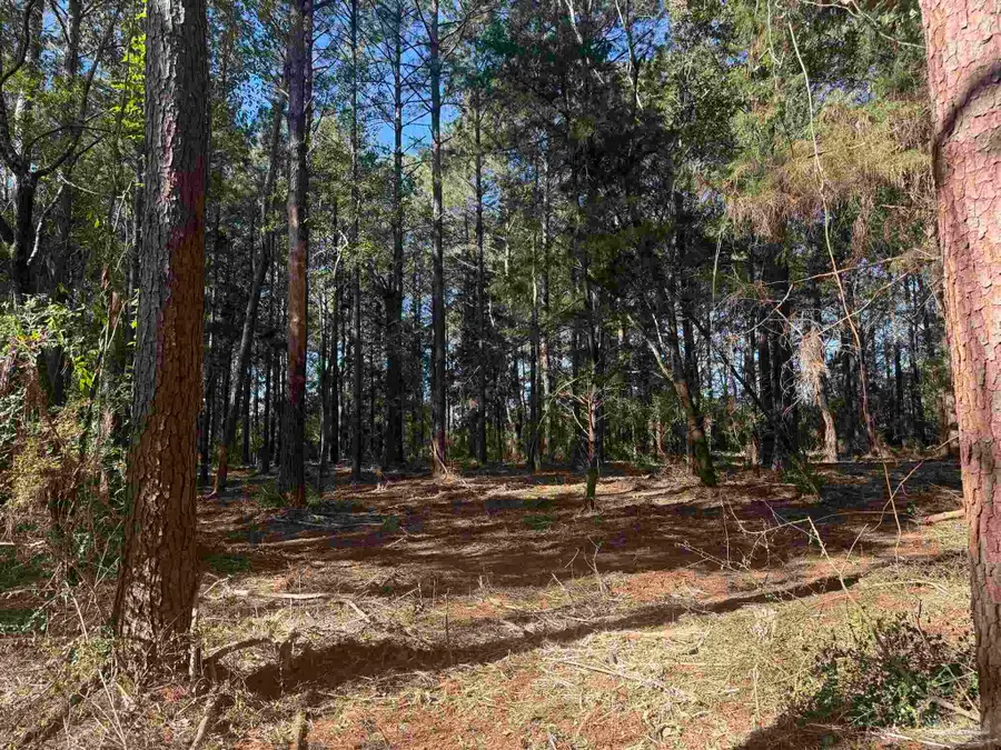 Lot 6 Rockaway Creek Rd, Atmore, AL 36502 - #3