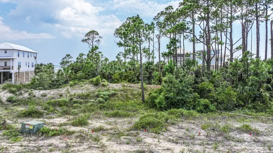 116 Reservation Way, Port Saint Joe, FL 32456 - Image #2