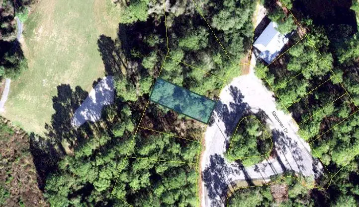 156 Skimmer Dr, Carrabelle, FL 32322 - Image #3