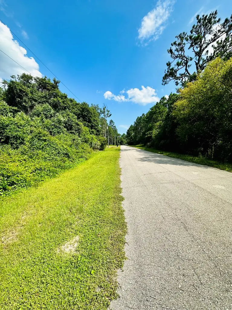 221 Franklin St, Lanark Village, FL 32323 - #3