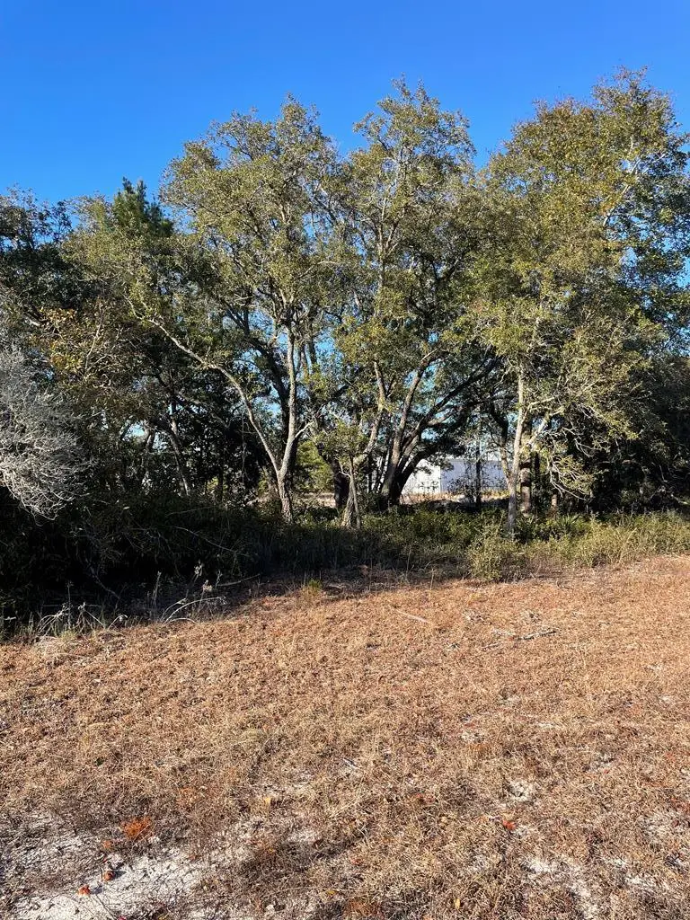 2245 Oak St, Lanark Village, FL 32322 - #3