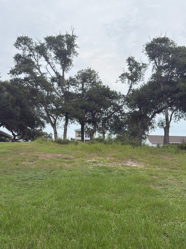 TBD Hwy 98 W, Port Saint Joe, FL 32456 - #3