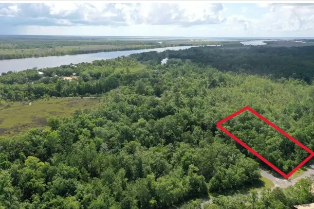 135 Water Oaks Way, Apalachicola, FL 32320 - #3