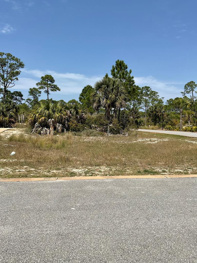 Lot 47 Jubilation Dr, Cape San Blas, FL 32456 - #1