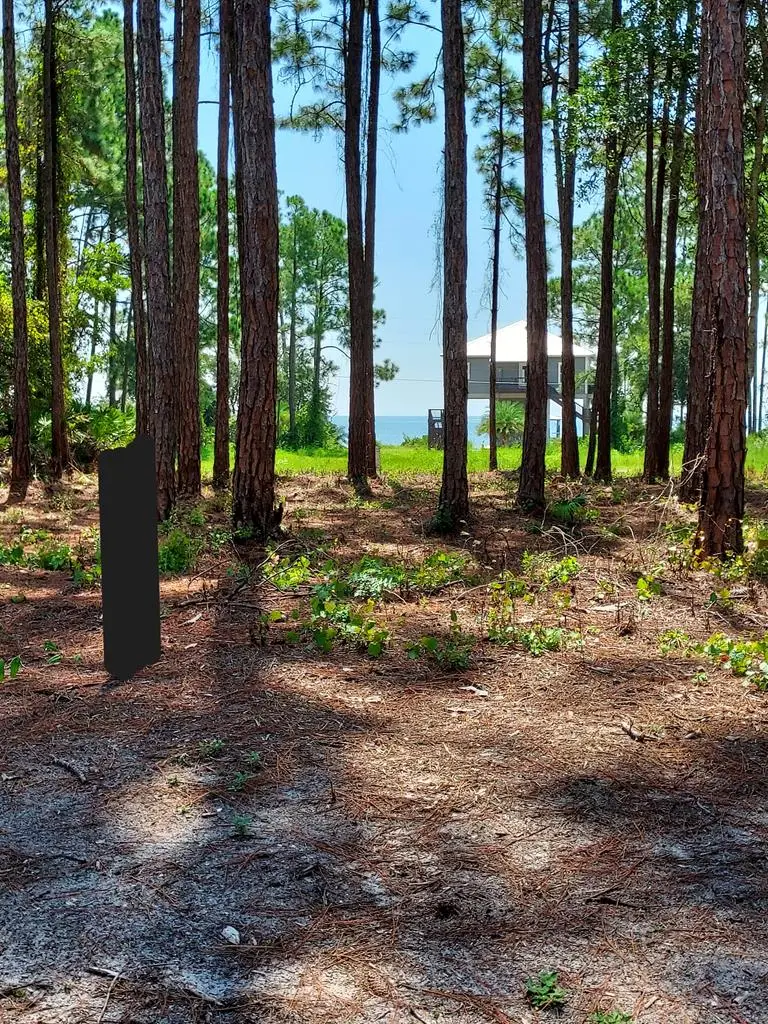 164 Royal Tern Way, Carrabelle, FL 32322 - #1