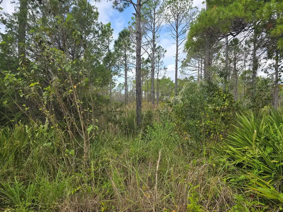 1845 Beacon St, Carrabelle, FL 32322 - Image #3