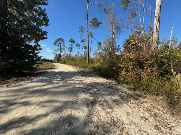 Lot 2 Mcclellan St Se, Kinard, FL 32449