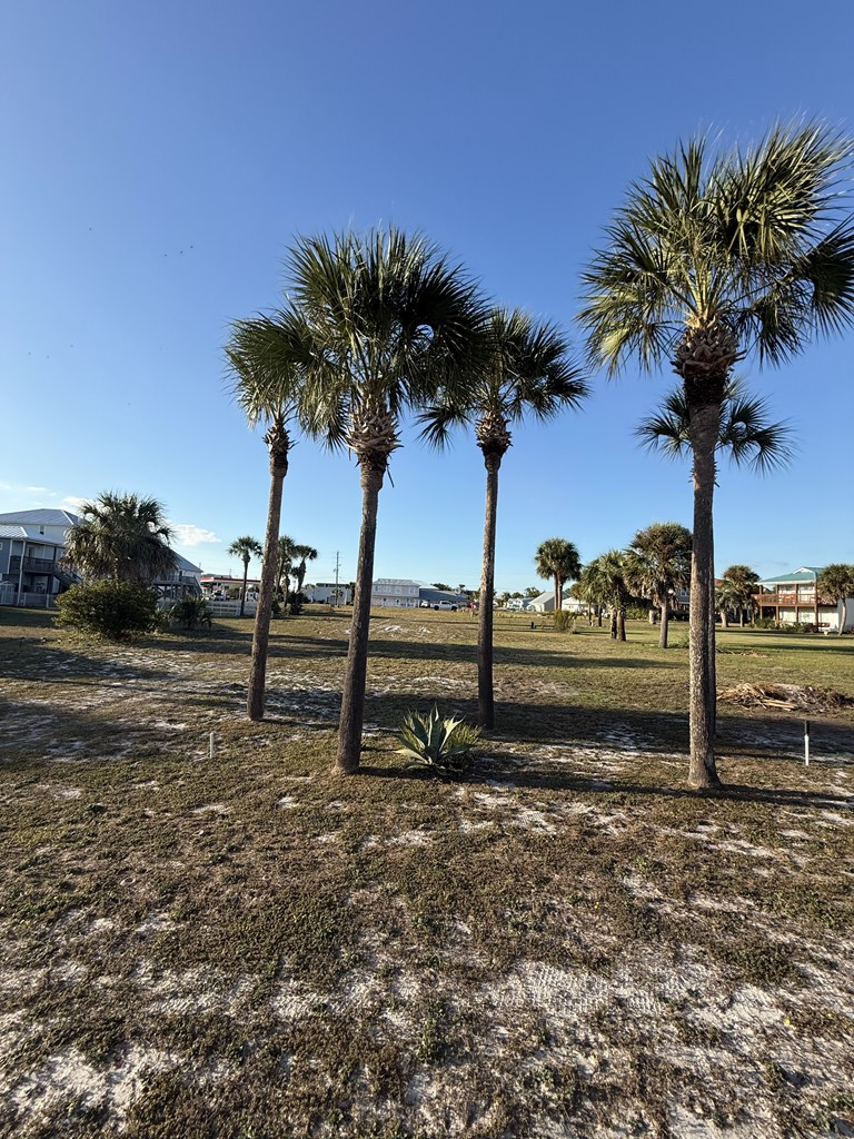 Lot 10 Sea Shores Dr, Port Saint Joe, FL 32456 - Image #3