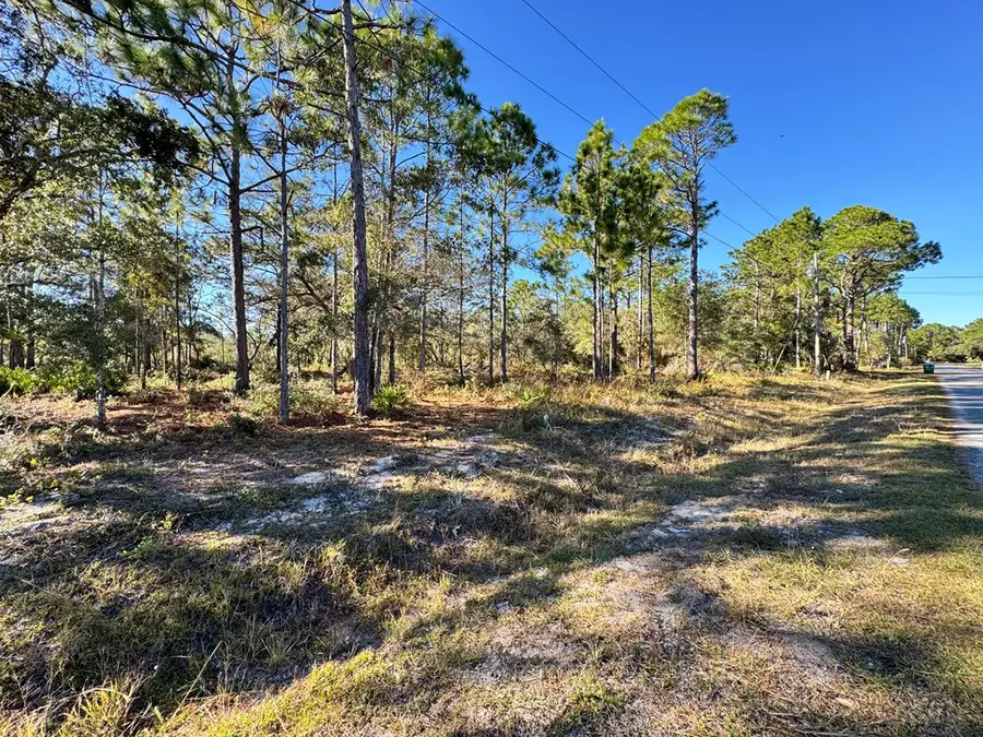 Lot 10 Francis Dr, Panacea, FL 32446 - Image #3
